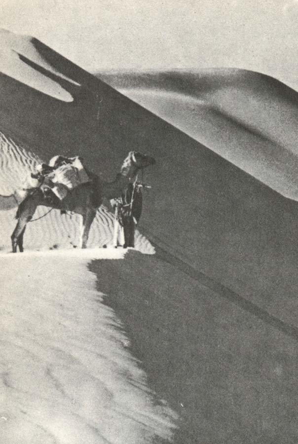 william r clark wilfred thesigers expedition rastar pa toppen av en sanddyn under ritten genom det tomma landet